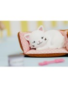 Lottie accessory